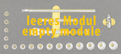 Module- Socket Set 3/8" 