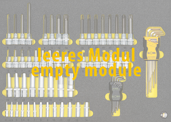 Empty Module 